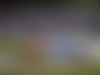 Fórmula Indy: TV Cultura transmite GP de Mid-Ohio neste domingo (7/7)