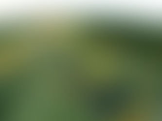 Os recordes e as marcas que podem cair na BRB Stock Car 2025