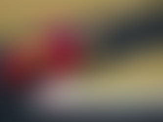 Stock Car: Ricardo Zonta renova com equipe RCM para 2025