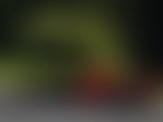 F1 – Albon teve um “começo muito bom” na Red Bull, diz Horner