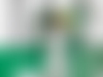 Obrigado, Felipe Massa!