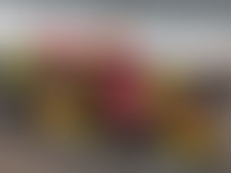 TV Cultura transmite Grande Prêmio de Toronto, da Fórmula Indy, neste domingo (20/7)