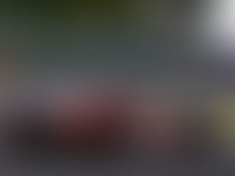 Leclerc surpreende e tira a pole da McLaren na Hungria