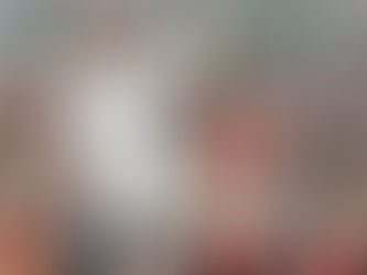 F1 – Não é a cor da pele que define o seu caráter, mas a sua competência!