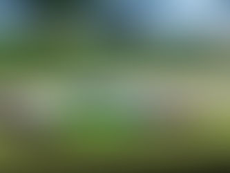 Foster Surpreende: Rookie Conquista Pole em Road America