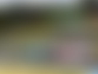 Porsche Cup coroa Marcos Regadas como o 5º vencedor em 5 provas da Carrera