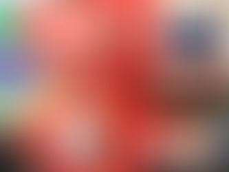 NASCAR Xfinity: Miguel Paludo luta até terminar em nono no Circuito das Américas