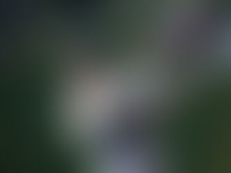 F1 – GP da Austrália: Mais dúvidas do que respostas