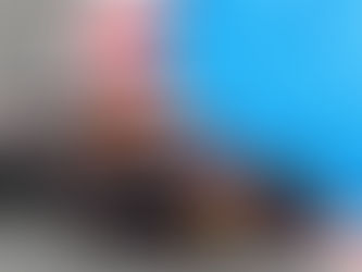 F1 – Red Bull deve manter o foco em 2021, diz Verstappen