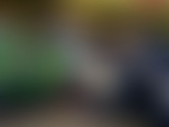 O dilema brasileiro no mundial de F1