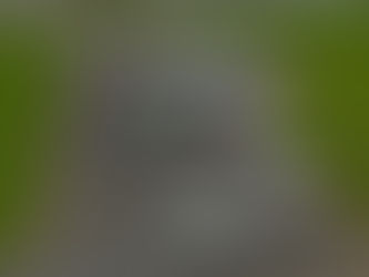 Ernani Kuhn e João Cardoso são os campeões da Turismo Nacional em 2024