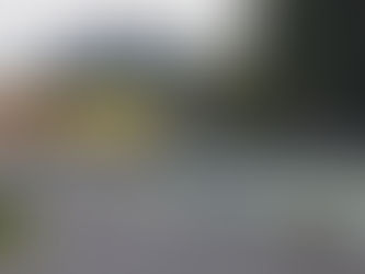 F1 – Verstappen quer dominar, não batalhar por vitórias