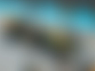 McLaren leva Alex Palou ao tribunal