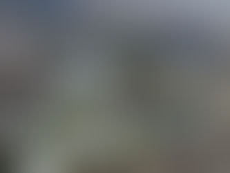 Porque a UP Honda tem vantagem no Brasil e principalmente no México