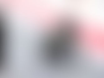 MotoGP e a Evolução das espécies