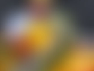 Alex Palou descarta mudança para a F1