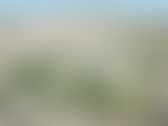 MotoGP – Segurança em circuitos