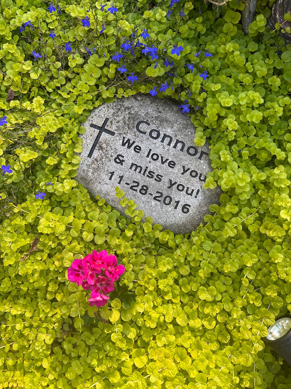 This stone is part of a garden memorial, located at the Johnson home, honoring the late Connor Johnson. It also pays tribute to his grandfather Dave Johnson and beloved family pets who have also passed.