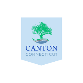 Canton voters defeat budget proposal