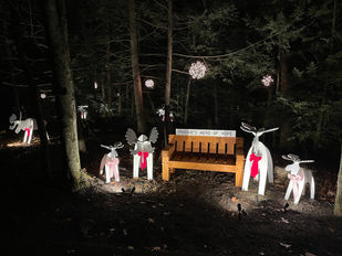 'Moosie's Herd of Hope' lifts holiday spirits