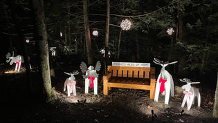 'Moosie's Herd of Hope' lifts holiday spirits