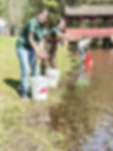 Simsbury Land Trust Youth Corps members Addy Escamilla and Ella Capozzi release trout at Stratton Brook State Park as a part of a youth event.