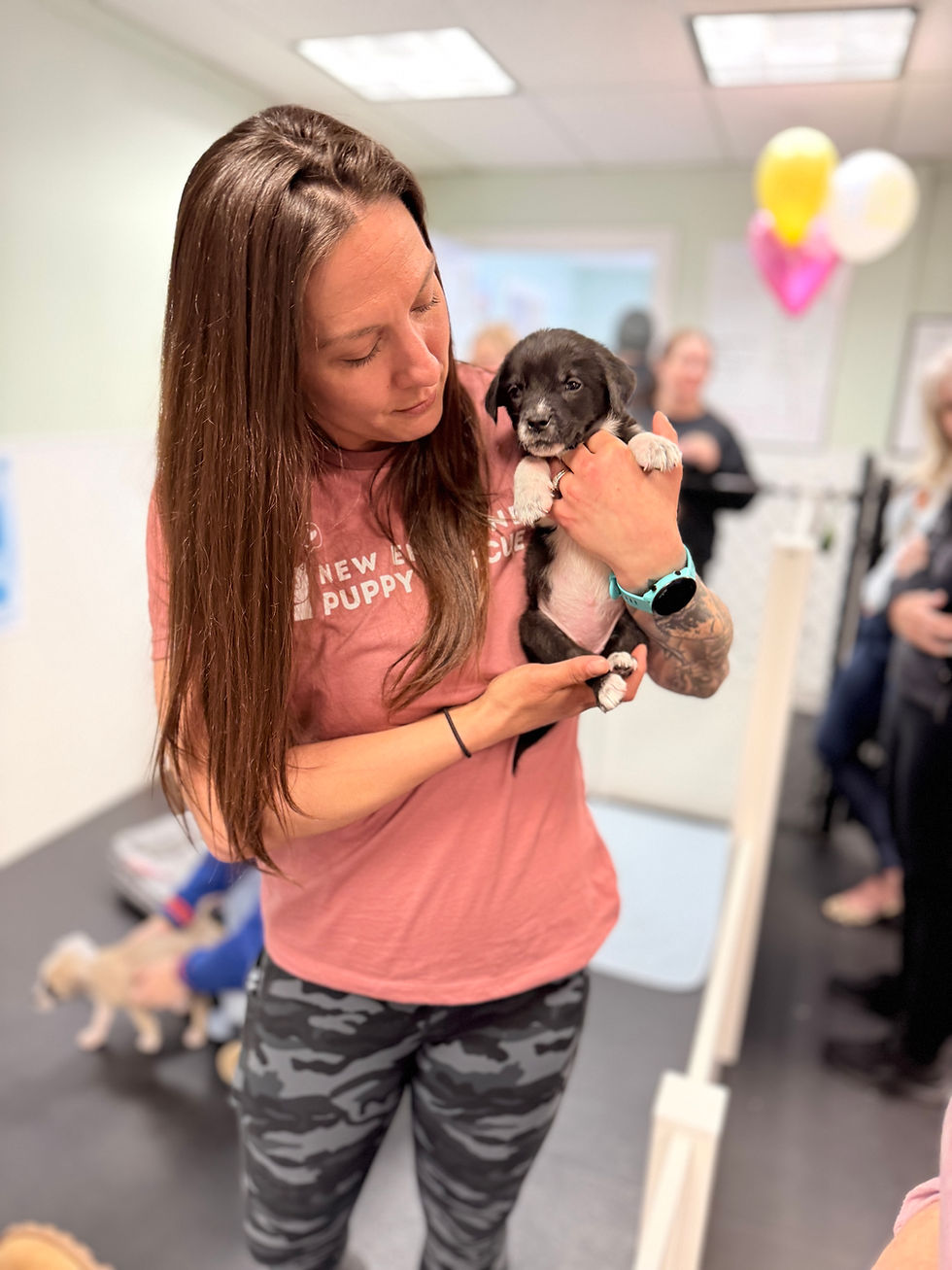 Bee Seymour, a volunteer and dog trainer for New England Puppy Rescue, holds Plum, a lab-retriever -pit bull mix who was about 8 weeks old at the time of this photo. 