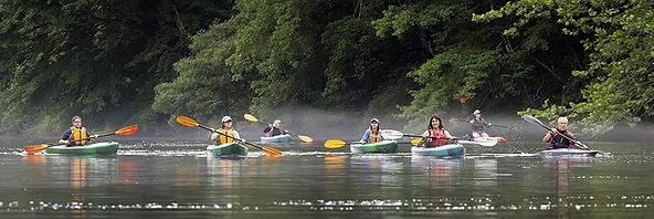 Coffee With: Aimee Petras of the Farmington River Watershed Association
