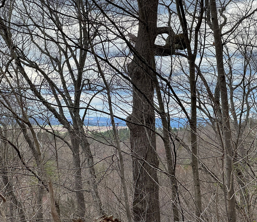 A portion of the Connecticut Forest & Park Association’s Blue-blazed Metacomet Trail passes through the eastern portion of Hill-Stead. (Marteka)