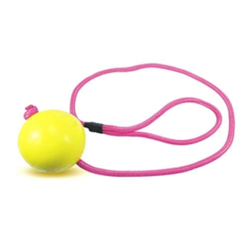 Brinquedo Puxador com Bola Maciça Lisa para Cães 85mm Pet Injet Un