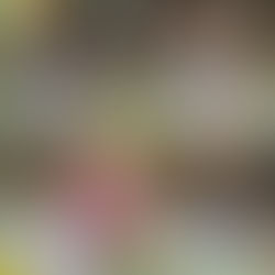 День Доброти в ДНЗ №9