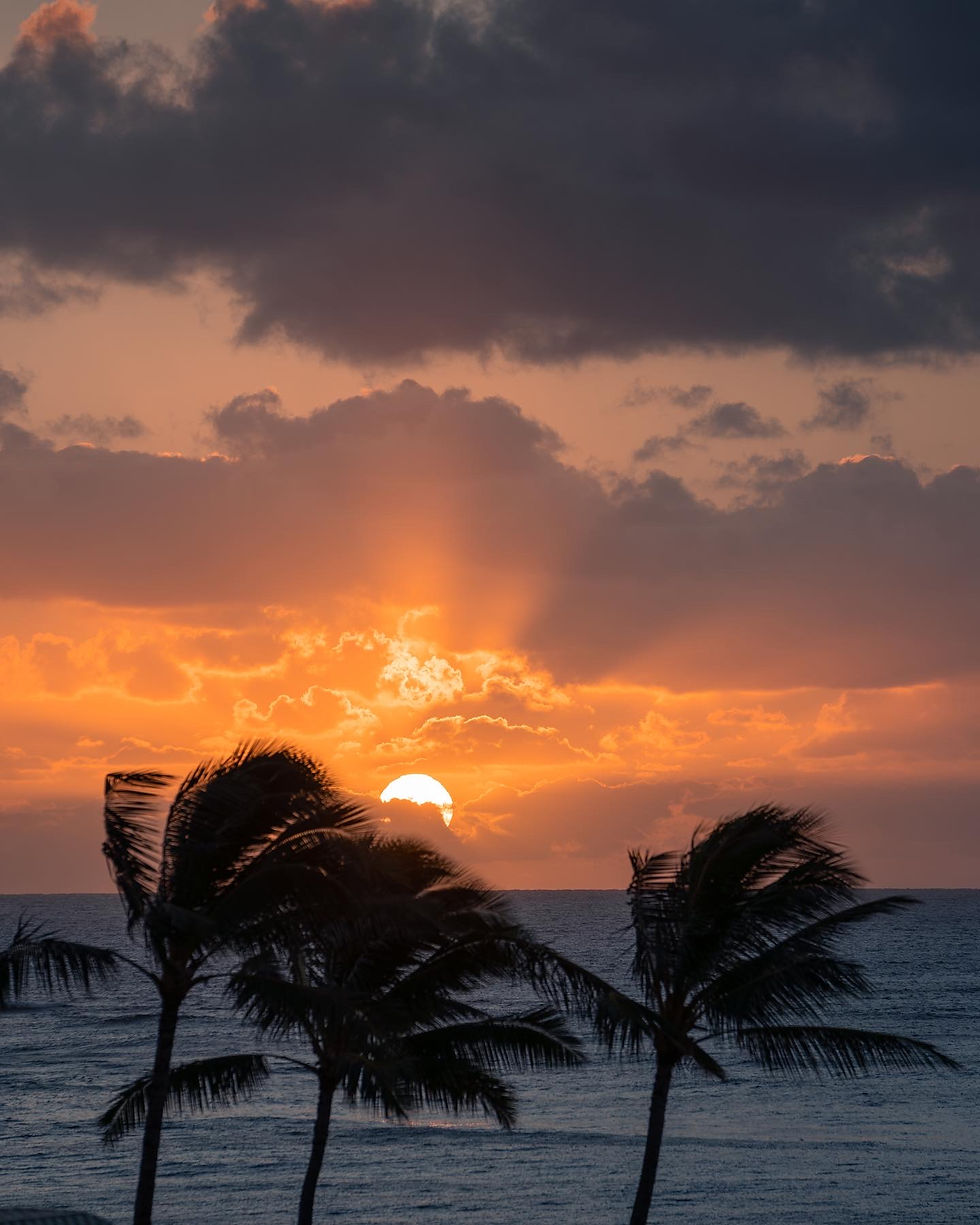 sunrise illuminating the sky with dark silhouette cloud and palm trees