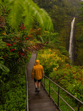 water falling from the cliff in the distance as a man in a yellow rain coat walks along the pathway in the tropical jungle