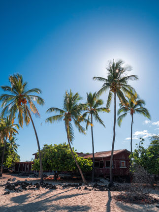 a shack on the White sand beach on Kona coast of Hawaiʻi’s Big Island with palm trees and sun silhouette behind