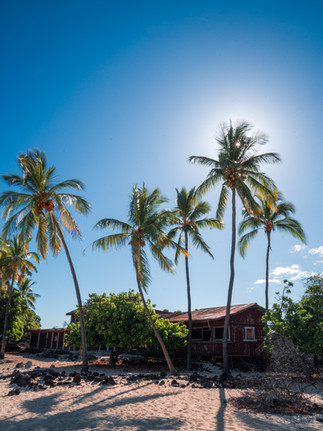 a shack on the white sand beach with palm tree silhouettes with the sun shining behind