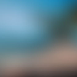 Palm Trees lining a white sand beach filled with black lava rock 