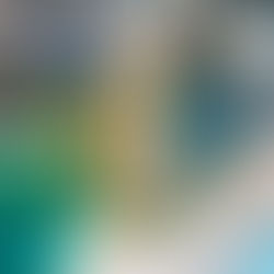 Hilton Hawaiian Village Hotel Review 