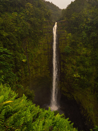the Big Islands tallest waterfall flowing down water in the middle of the lush green jungle