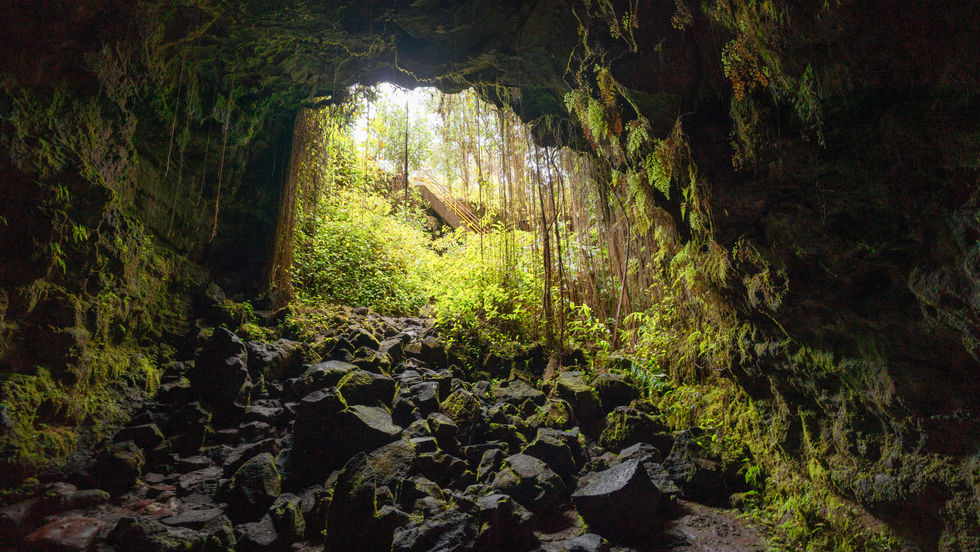 view looking out of a lava cave with lush green moss and vegetation covering the black lava rocks