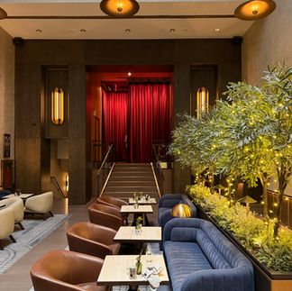 chic brown leather chairs and blue couches in the dining area at Thompson central park 