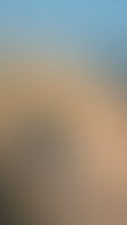 Resort and Ocean Views from The Cape Hotel in Cabo San Lucas 