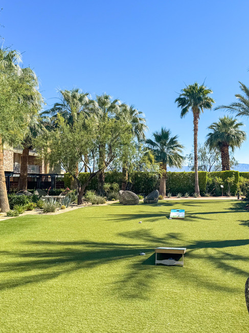 lush green grass surrounded by palm trees casting shadows on the grass