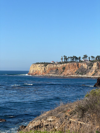 steep coastal bluffs with palm trees and a lighthouse above the blue ocean water