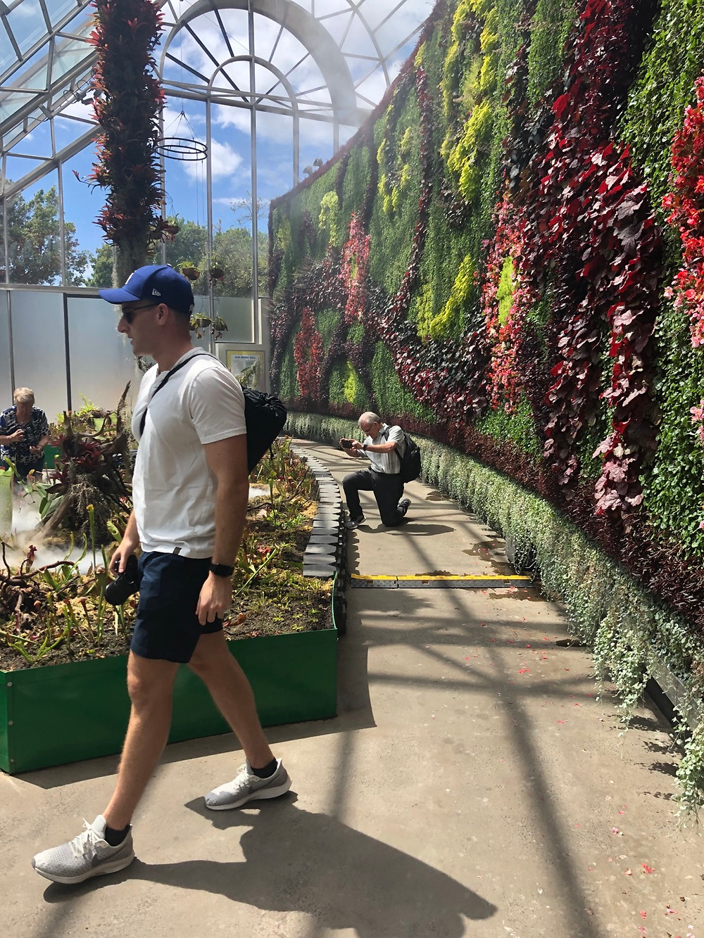 Man walking in the royal botanic garden exhibit