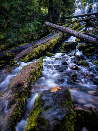 a long exposure photograph of water slowly and smoothly tricking down the rocks as  a leaf and broken tree trunks lay scattered on the floor with a waterfall surging in the background 