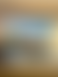 Man in a bathing suit and sombrero sitting in a plunge pool overlooking the palm trees and Waldorf Astoria Los Cabos Pedregal Resort