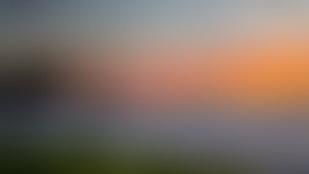 sunset sky with palm tree silhouette in the distance next to the ocean