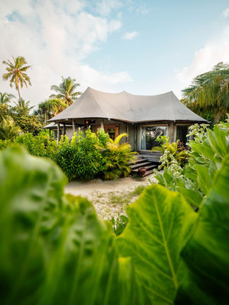 jungle tented villa with palm treed in the fairmont Maldives