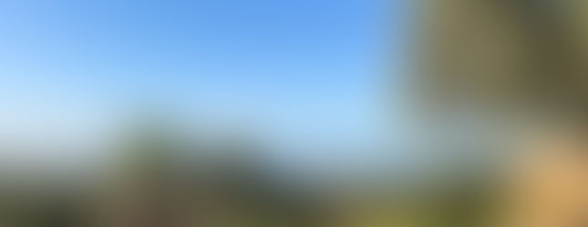 view from top of a hillside looking down at the ocean, palm trees, and vegetation surrounding neighboring villas