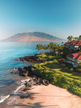 palm trees hanging over a black rocky beach and maui in the background